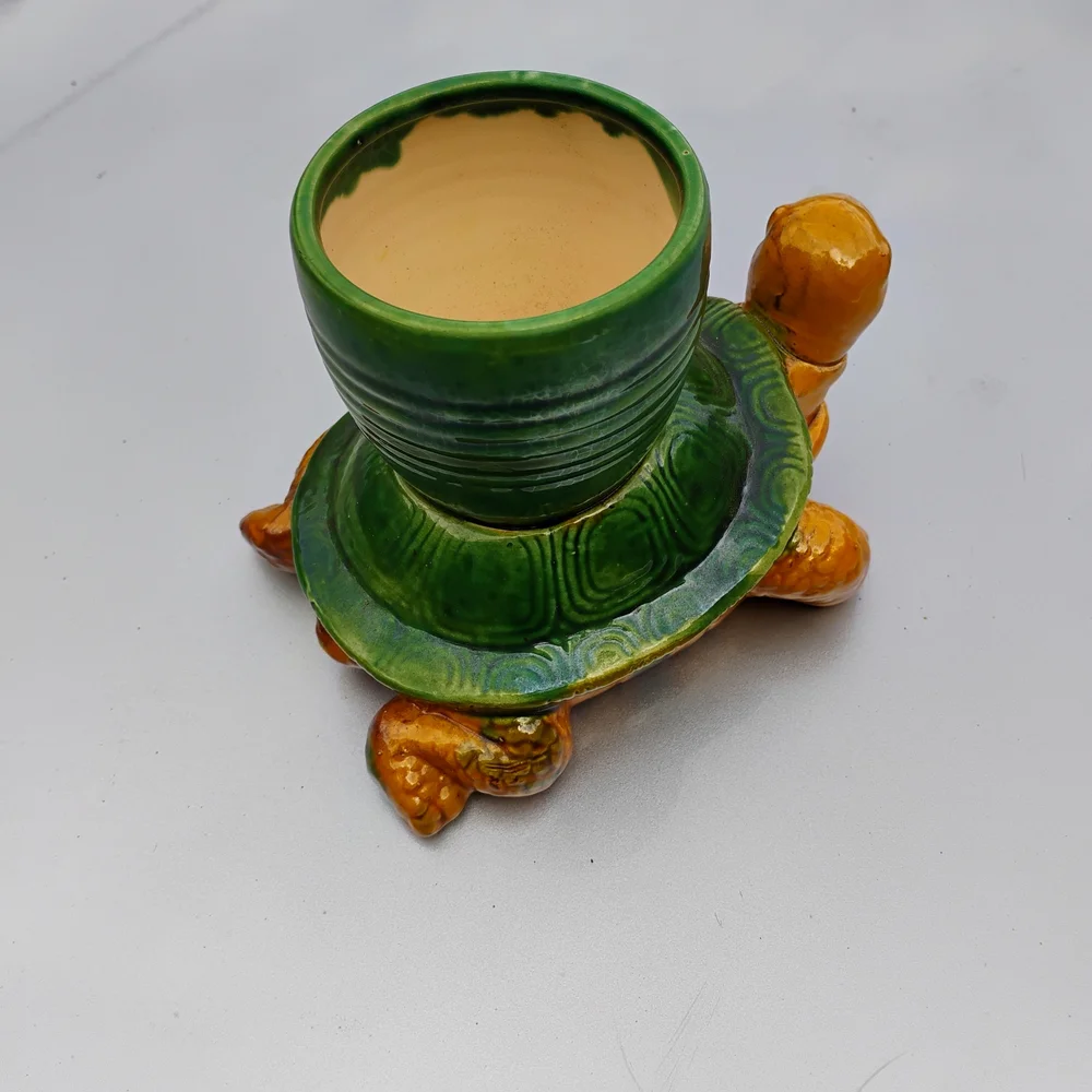 Green and Orange Turtle Planter